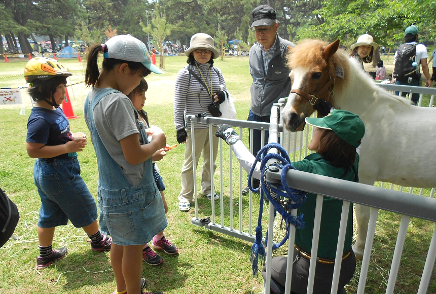 蜻蛉池公園　ポニー乗馬体験＆エサあげ体験