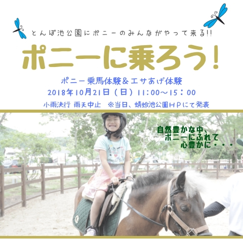 10/21 蜻蛉池公園　ポニー乗馬体験＆エサあげ体験