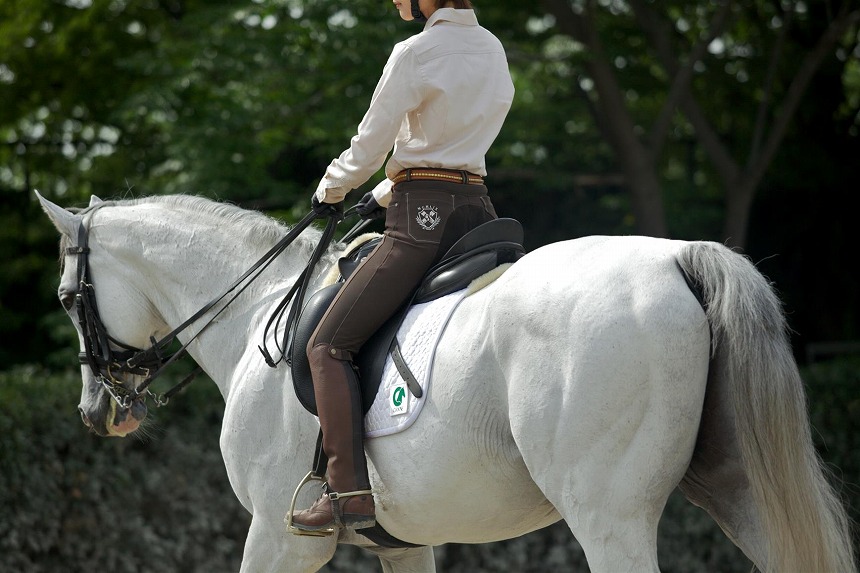 乗馬でダイエット！？乗馬の運動効果について