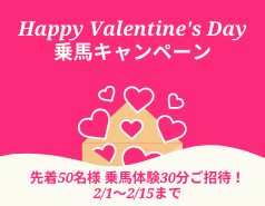 【受付終了】Happy Valentine's Day乗馬キャンペーン！2/1～15まで先着50名様乗馬体験ご招待！