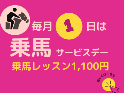 【受付終了】毎月1日は乗馬サービスデー!