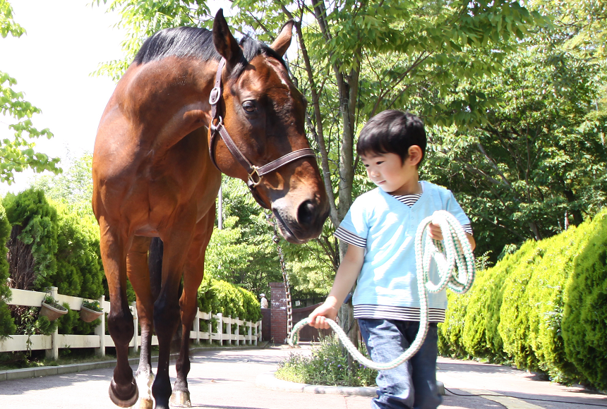 ポニーひき馬のご案内