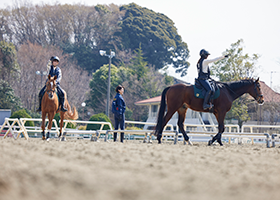 ワンランク上の乗馬体験