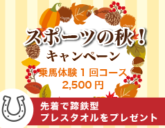 乗馬キャンペーン