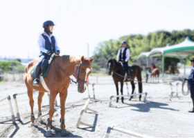 50歳から75歳まで、健康乗馬ご招待